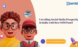 Unlocking Social Media Success in India with Best SMM Panel