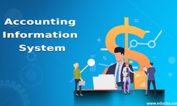 Unlocking the Potential of Accounting Information Systems Test Bank