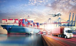 Navigating Export Regulations: Shut Out Permit, Export Permit, and Cargo Declaration in Singapore