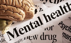 Understanding Common Mental Health Issues: A Guide to Mental Well-being