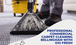 Professional Commercial Carpet Cleaning Bellingham with Oxi Fresh