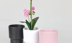 Donice ceramiczne: Piękno i Funkcjonalność