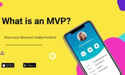 What is MVP? A Minimum Viable Product with Examples!