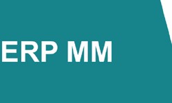 ERP SAP MM Training Institute in Noida