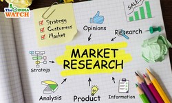 Market Research Services In Pune
