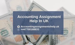 Accounting Assignment Help from PhD Experts in UK