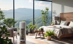 Maximizing Your Investment: Tips for Getting the Most from Your Air Purifier
