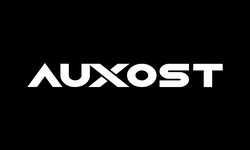 Auxost | Best Digital Marketing Agency in Bhopal