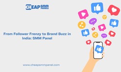 From Follower Frenzy to Brand Buzz in India: Best SMM Panel
