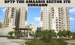 BPTP The Amaario Sector 37D Gurgaon - 4 BHK Luxury Apartments