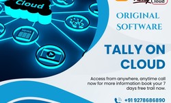Tally on cloud hosting services