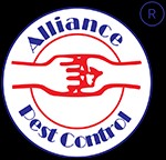 Termite Pest Control in Kharghar with alliancepestcontrol: Keeping Your Home Safe