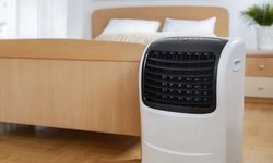 Clearing the Path: How Air Purifiers Tackle Indoor Pollutants