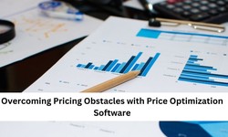 Overcoming Pricing Obstacles with Price Optimization Software