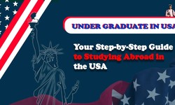 A Guide to Study Bachelor's Degrees in the USA