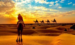 Everything About India's Golden City: Jaisalmer