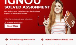Pen And Paper Proficiency: IGNOU Handwritten Assignment Excellence