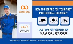 How to Prepare for Your First Professional Cleaning?