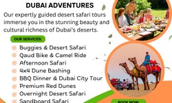 Exploring the Dunes: Desert Safari With Quad Biking / +971 55 553 8395