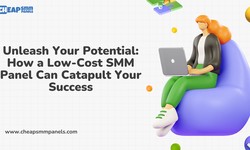 Unleash Your Potential: How a Low-Cost Cheap SMM Panel Can Catapult Your Success