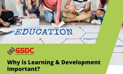 Why is Learning and Development Important?