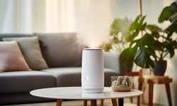 Clearing the Air: Dispelling Myths and Revealing the True Benefits of Air Purifiers