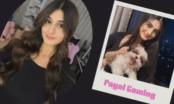 Payal Gaming: Empowering Gamers with Innovative Experiences and Boundless Creativity