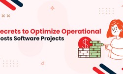Secrets to Optimize Operational Costs Software Projects