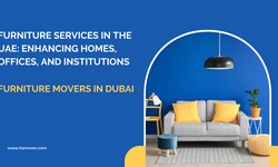 Furniture Services in the UAE: Enhancing Homes, Offices, and Institutions