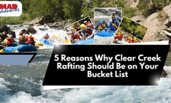 5 Reasons Why Clear Creek Rafting Should Be on Your Bucket List