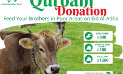 Reasons Why Donate Qurbani is Important in 2024