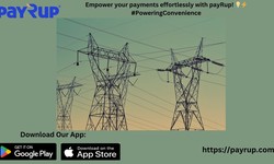 Energize Your Billing Experience: payRup in Action