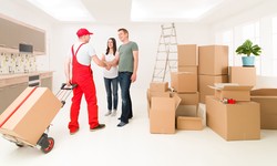 Why Professional House Removals and Furniture Removals Are Worth It