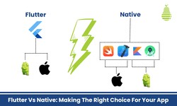 Flutter vs. Native App Development: Making the Right Choice