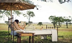 Five Reasons To Choose Tour Safari Tanzania