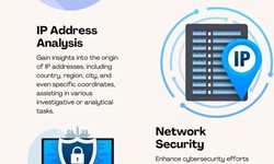 Maximizing Precision: Optimizing Your Search with IP Location Finder API