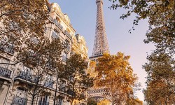 Touring Paris: The Eiffel Tower Experience