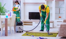 Car Title Loans Edmonton To Setup a Carpet Cleaning Business
