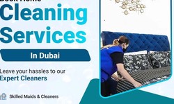Top 10 Home Cleaning Agency in Abu Dhabi