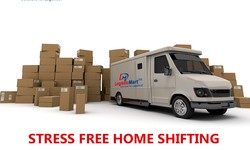 Choosing Packers and Movers in Adyar Wisely for Damage-Free Relocation
