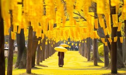 Is Golden Week The Best time to visit Japan?