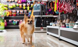 Unleashing Joy: A Comprehensive Guide to Pets Supplies Store
