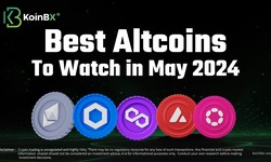 Best Altcoins to Watch in May 2024
