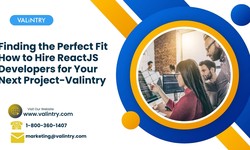 Finding the Perfect Fit How to Hire ReactJS Developers for Your Next Project