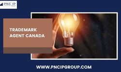 Navigate Canadian Trademark Laws with Expertise from PNC IP Group