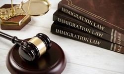 Understanding Criminal Immigration Defense: Insights from an Immigration Attorney in New York