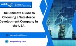 The Ultimate Guide to Choosing a Salesforce Development Company in the USA