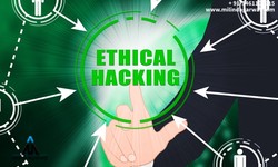 Unveiling the Surge of Ethical Hacking Institutes in Jaipur