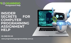 Insider Secrets for Computer Programming Assignment Help