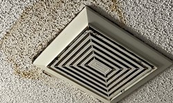 The Hidden Culprit: Exploring Attic Hatch Drips and Their Solutions